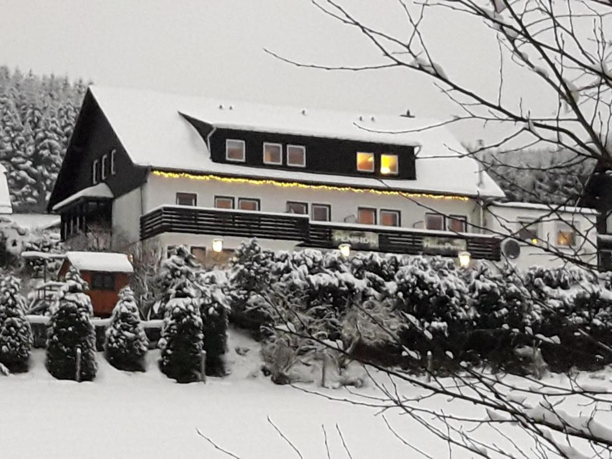 Pension Sauerland Winterberg Exteriör bild