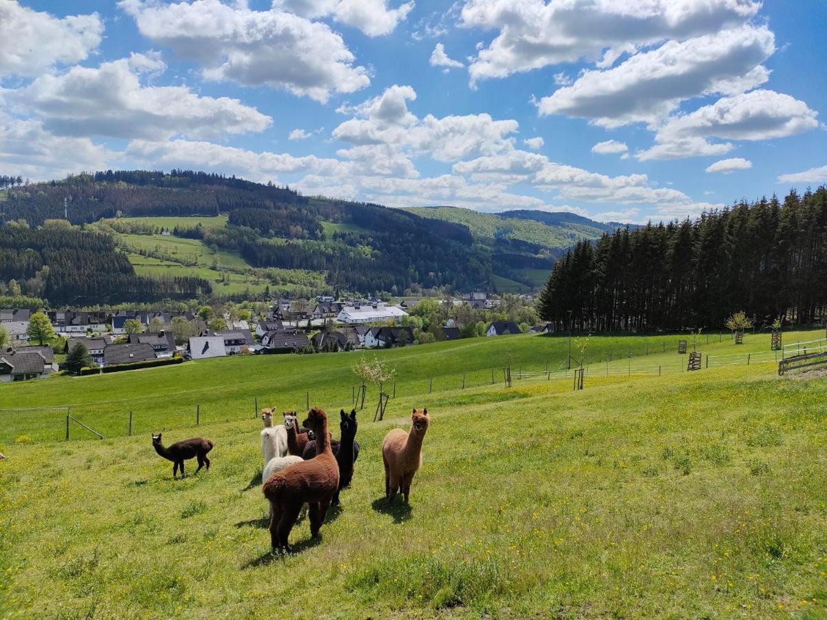 Pension Sauerland Winterberg Exteriör bild