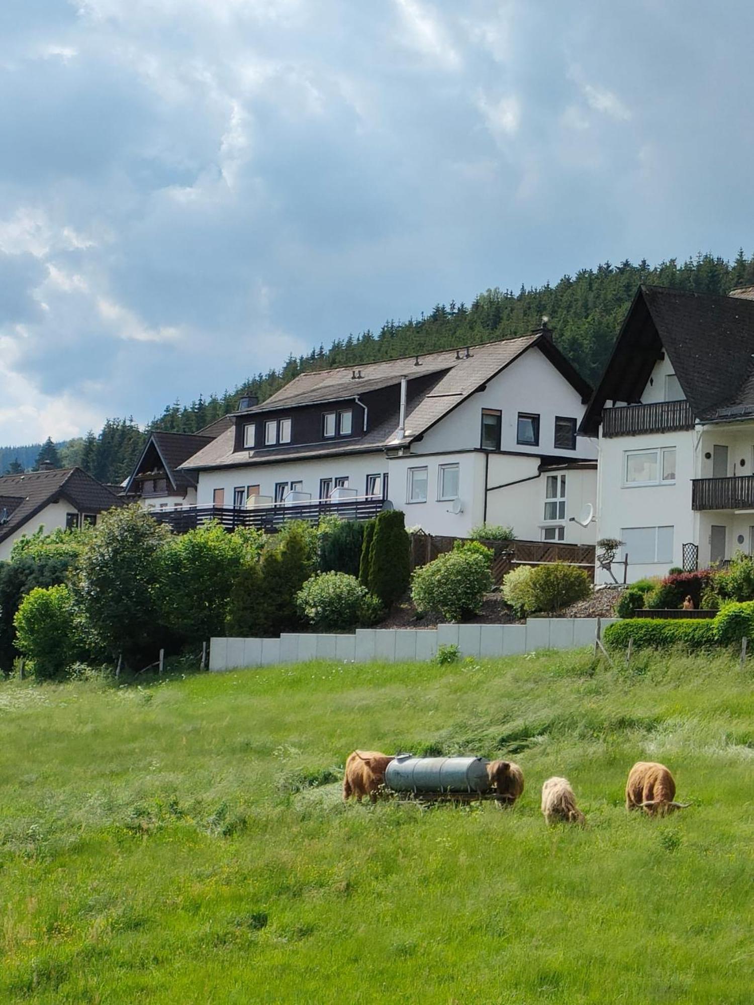 Pension Sauerland Winterberg Exteriör bild